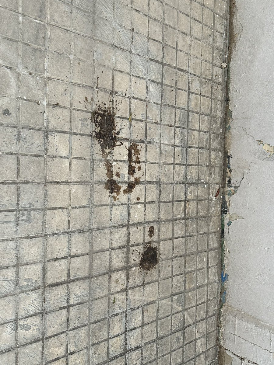 A algunos ciudadanos de #Valencia les parece bien que un parque infantil se convierta en un vertedero de cacas de perro, pipis de gente, muebles abandonados o vandalismo grafiteto. <a href="/AjuntamentVLC/">Ajuntament València</a>