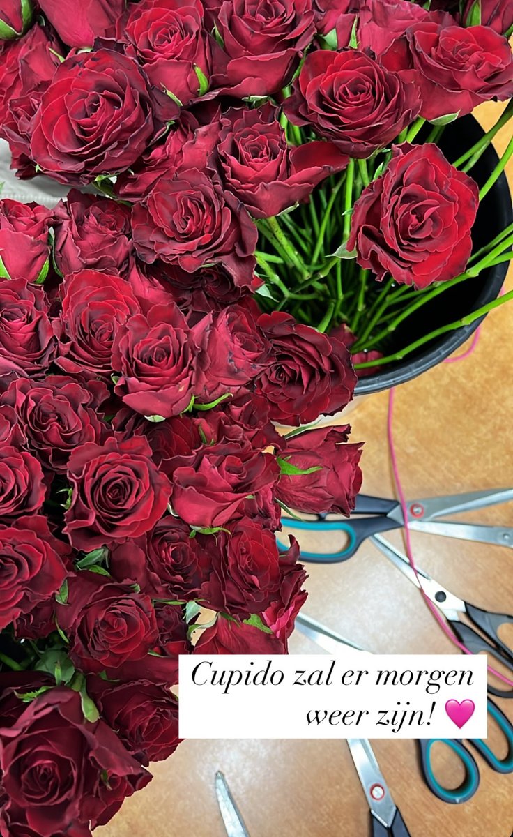 shdilsen's tweet photo. Valentijnsactie leerlingenparlement https://t.co/q1XJuKAwCw https://t.co/ys1pS2Z80e