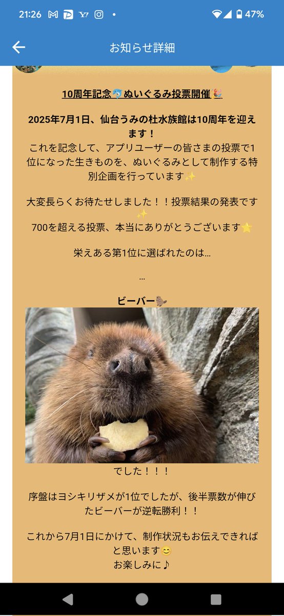 う杜の10周年ぬいぐるみ企画…… 🎊ビーバーが1位🎊 やったーーーー