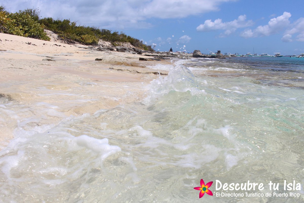 DescubreTuIsla's tweet photo. CAYO ICACOS, FAJARDO 🇵🇷 ¡Descubre Tu Isla! El Directorio Turístico de Puerto Rico #PuertoRico #DescubreTuIsla #Turismo #Tourist #Vacaciones #Travel #Traveler #RoadTrip #IslaDelEncanto #Fajardo #Cayos https://t.co/84u83T6SgS