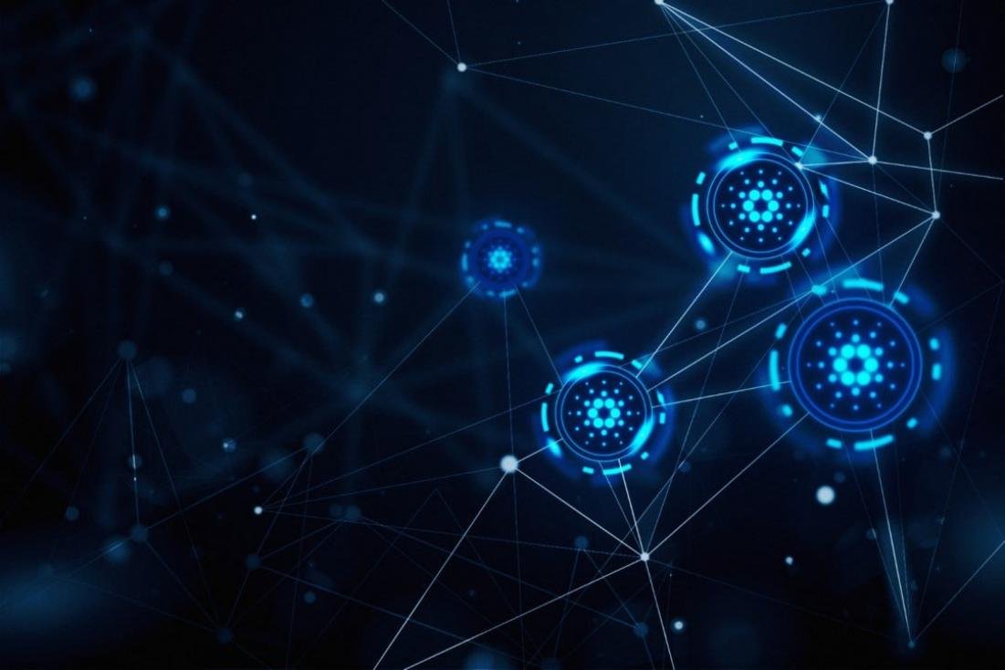 Selenium Fi | $SLM DeFi Ecosystem tweet media