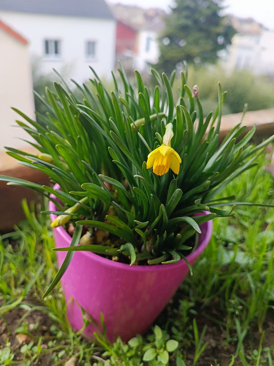 Leignel Marie tweet media