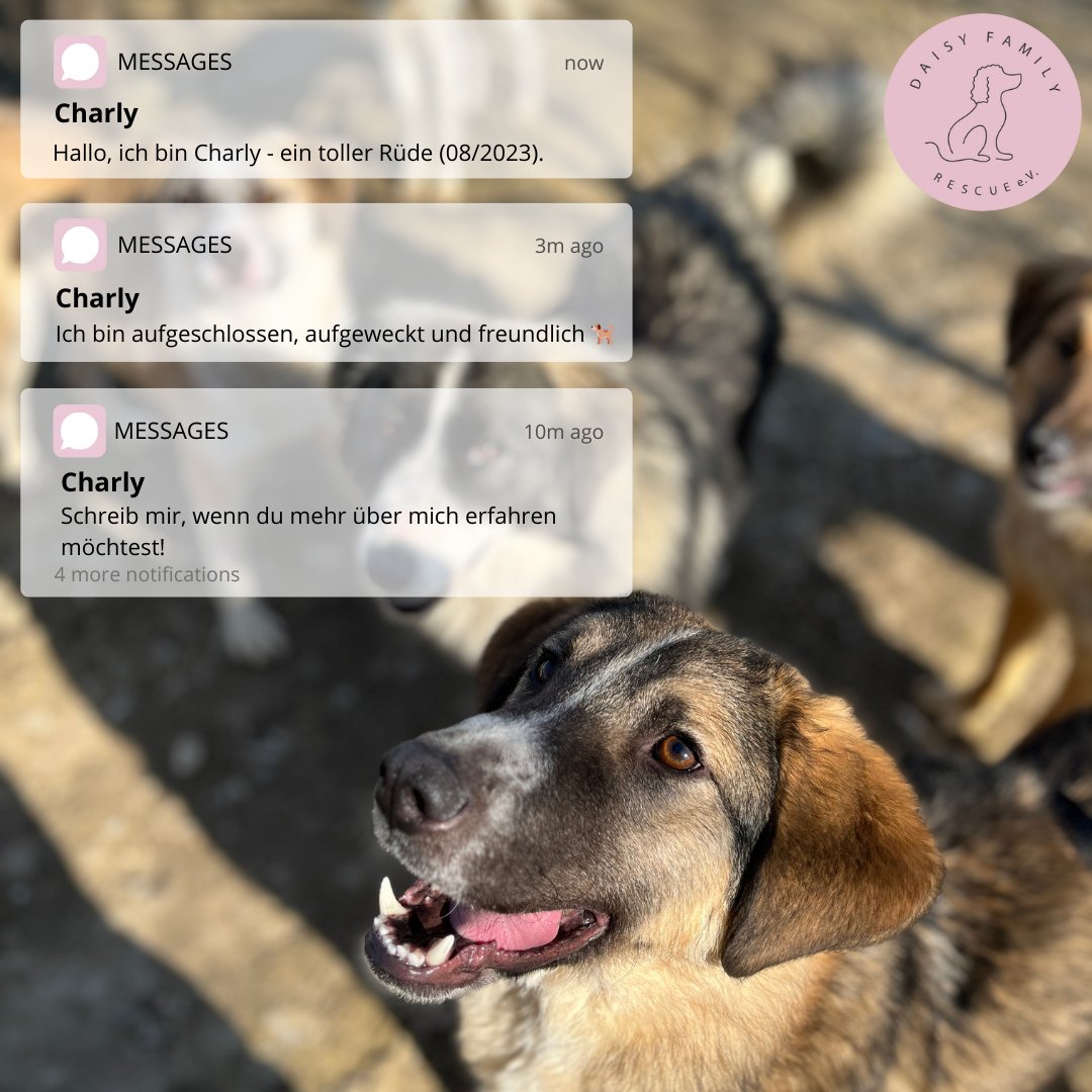 DaisyFamily tweet picture