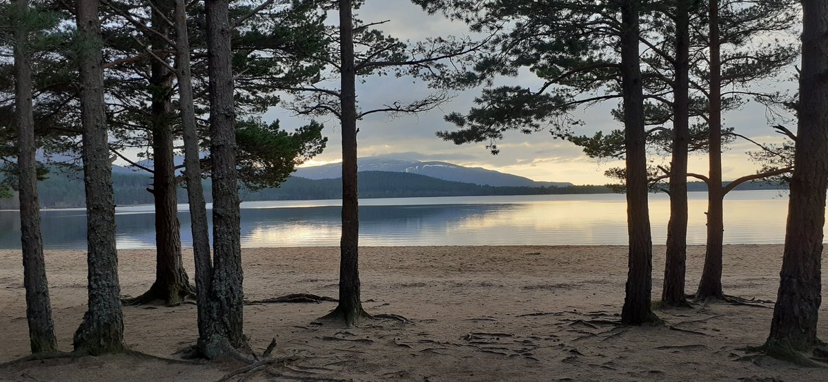 Loch Morlich looking beautiful in the winter light earlier this week - definitely not just for summer!