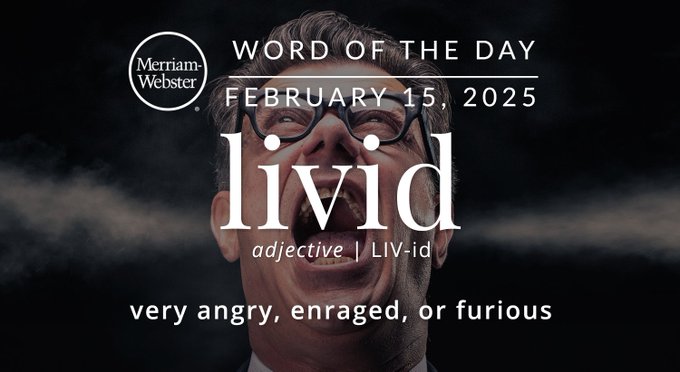 Merriam-Webster Word of the Day February 15, 2025 'livid' adjective | LIV-id "very angry, enraged, or furious" Background Image: a person screaming