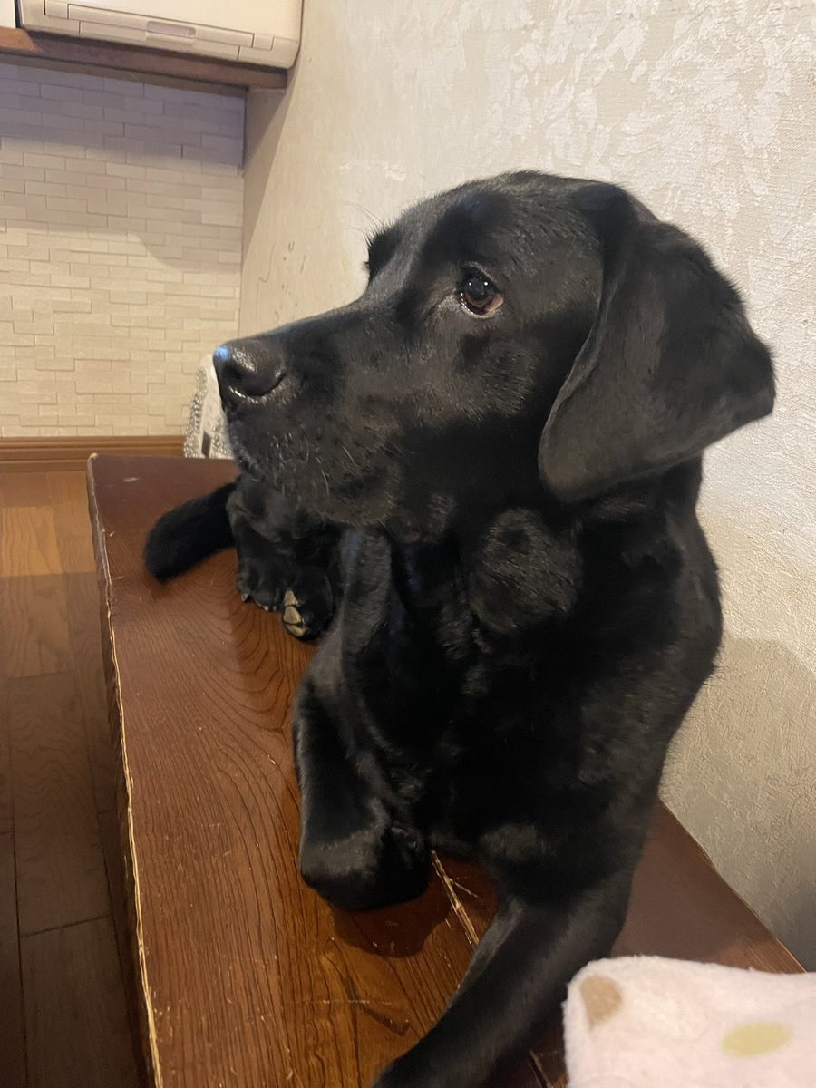 片手ないない🎶