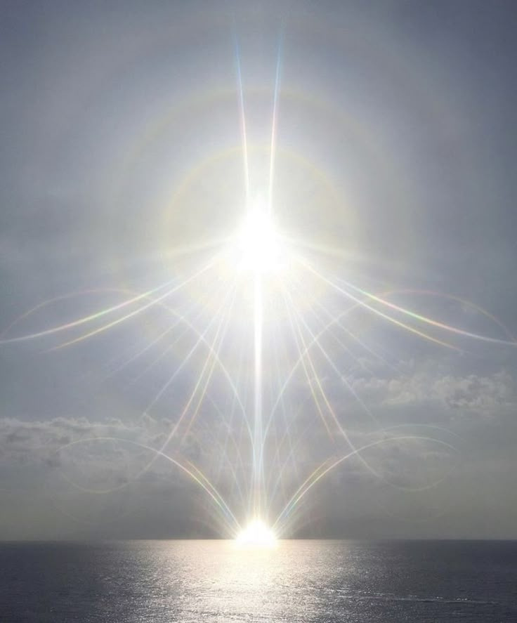 🕊 ⋆ ✷ 𝐵𝒶𝒷𝓊𝓈𝒽𝓀𝒶 ✷ ⋆ 🕊 (@babushkacc) on Twitter photo 