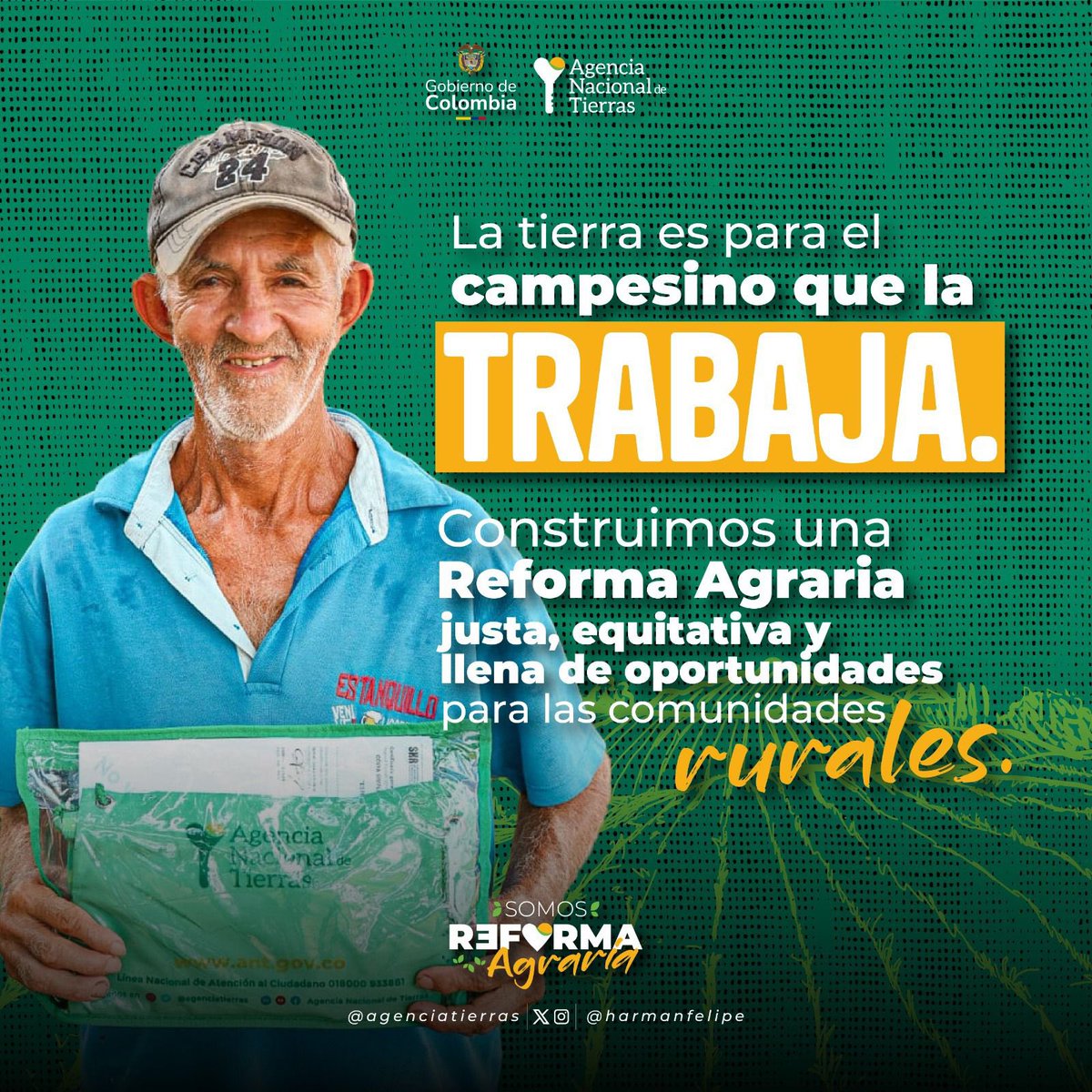 HaCe tweet media