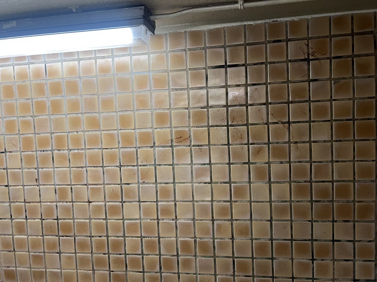 KnowQuest4's tweet image. @MTA @NYCTSubway it’s weeks now and you guys still haven’t cleaned up the smeared blood and poop on the walls of the #FLine #forthamilton stop exit in #brooklyn ? So how often do stations get a good clean?