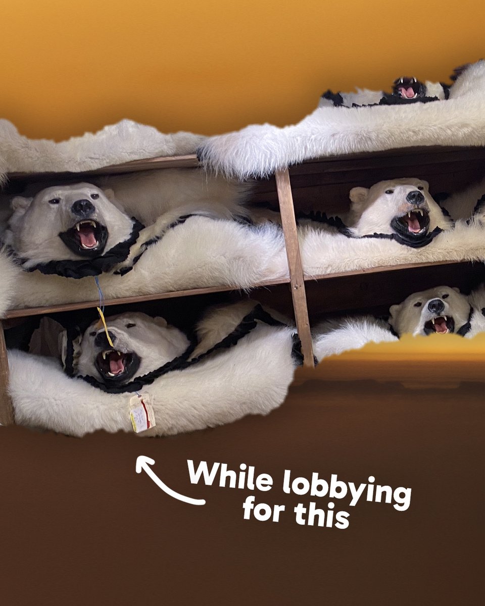 Chris Packham tweet media