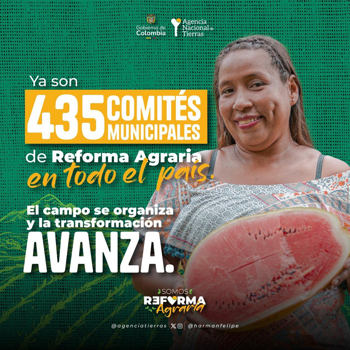 HaCe tweet media