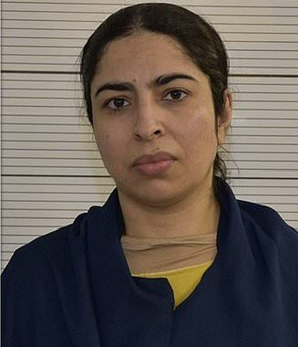 Catturd ™ tweet media