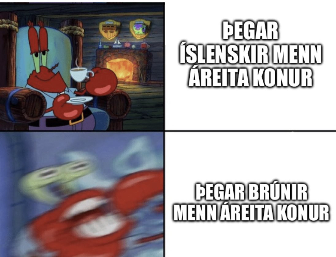 Fríða tweet media