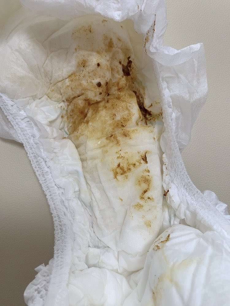 (⸝⸝›_‹⸝⸝)