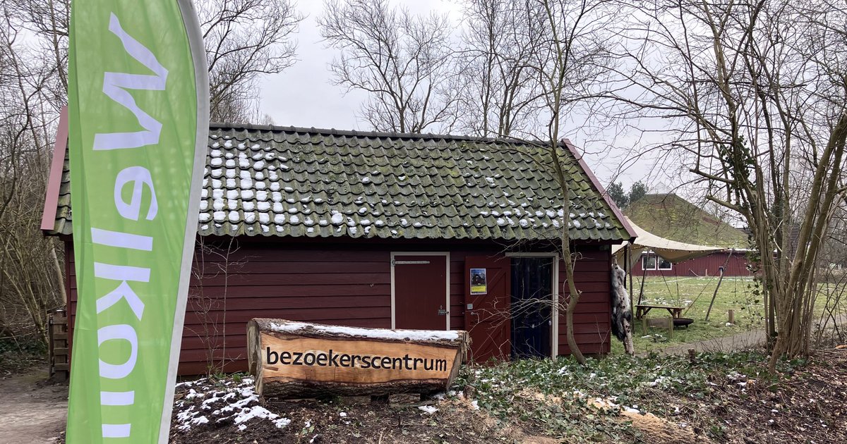Ons tijdelijk bezoekerscentrum is geopend! Wees welkom voor koffie/ thee, informatie of een souvenir. ☕️ 
In de vakantie dagelijks geopend van 10.00-16.00