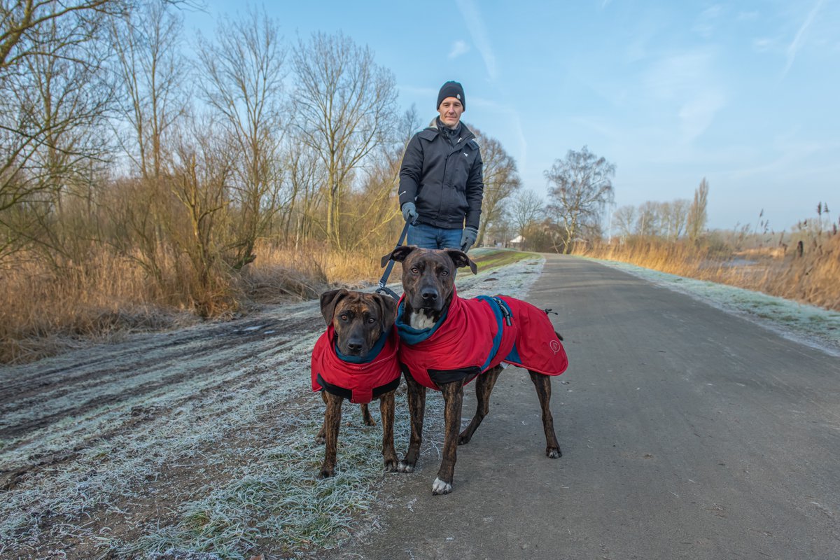 MWezemael's tweet photo. #vrtweer #weerfoto #winter #rijm #Hamme #opstap #honden #Nikonphotography #weatherphotography https://t.co/7tZxw31oTA