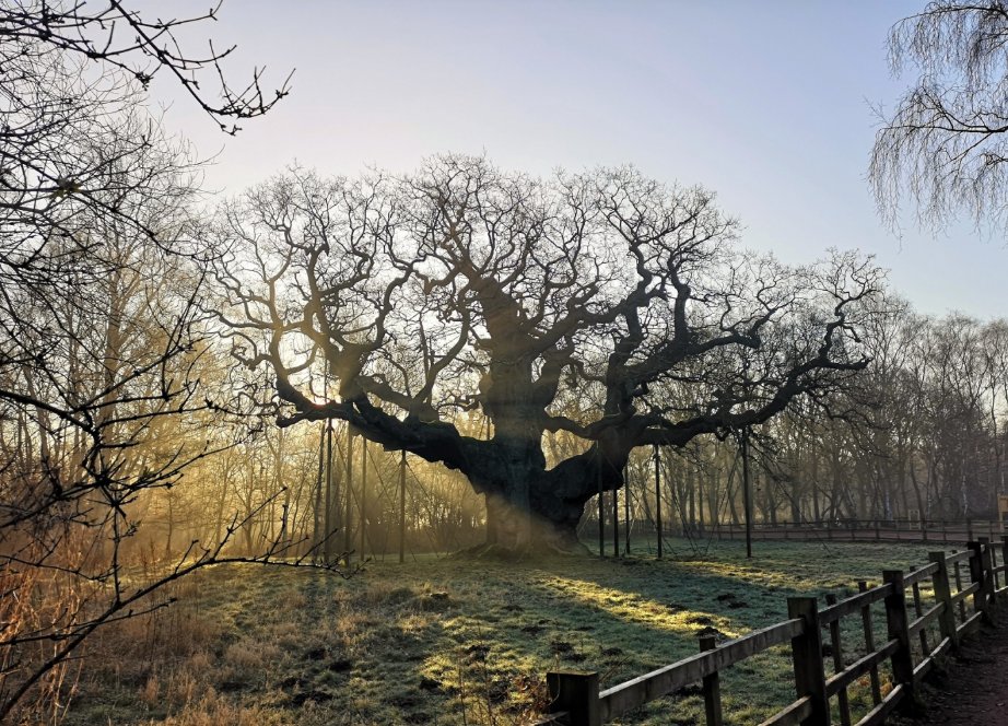 NottsCC's tweet photo. 🥳 School’s out! Check out our top picks for half term…

There’s lots to love about half term in Notts, with countless cost-friendly adventures waiting on your doorstep. 

Find out more fun things to do this half term and #ExploreNotts ⬇️ 
https://t.co/pfngFF6FXu https://t.co/NCfYaJmwng