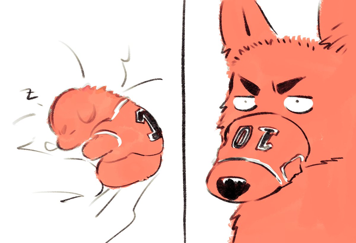 악어/wani🐊 (@hmng_etc) on Twitter photo 