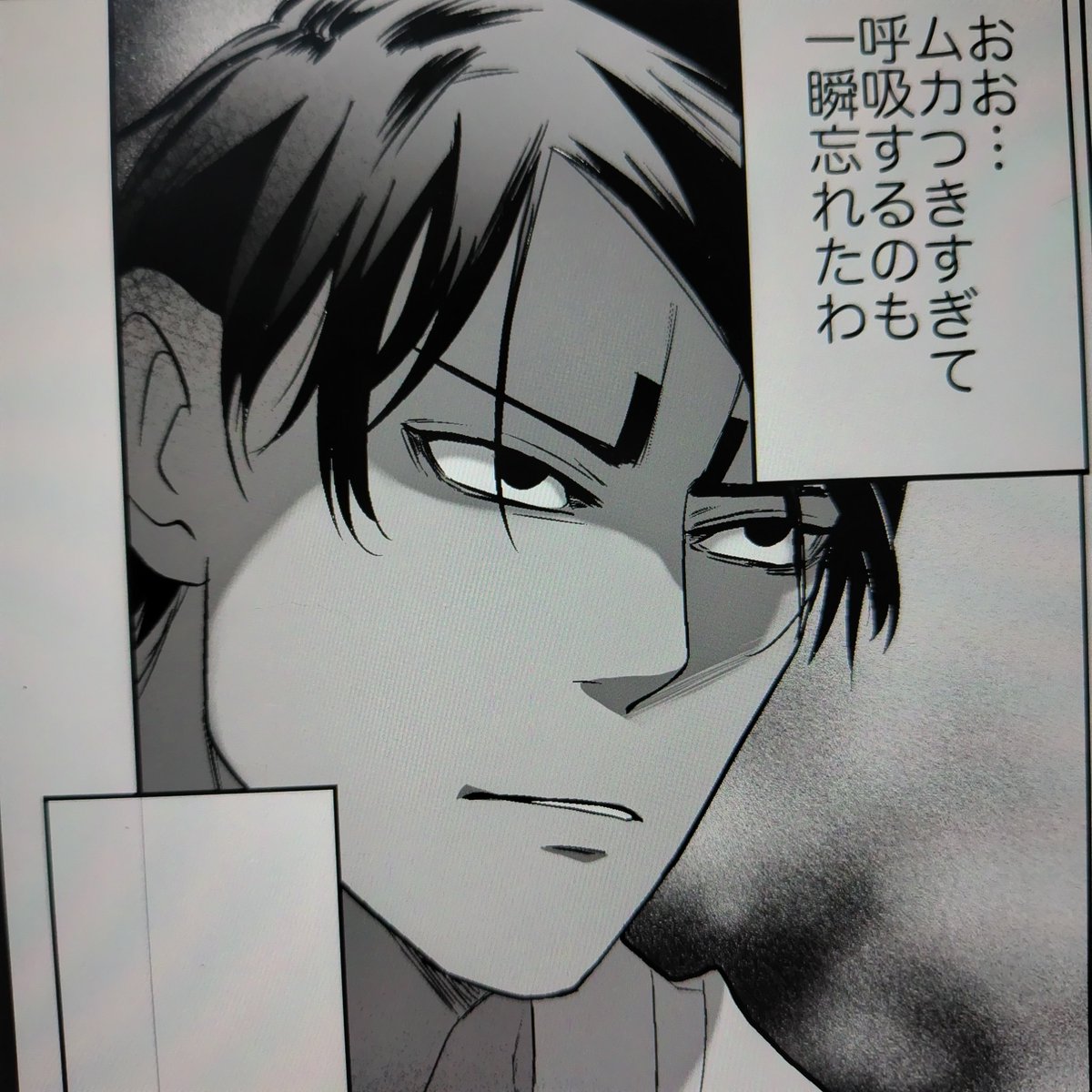 尾鯉の鯉(と言い張る 