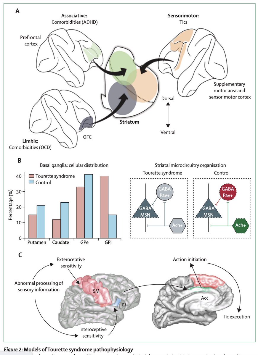 Zixiao Yin (@zixiao_yin) / Posts / X