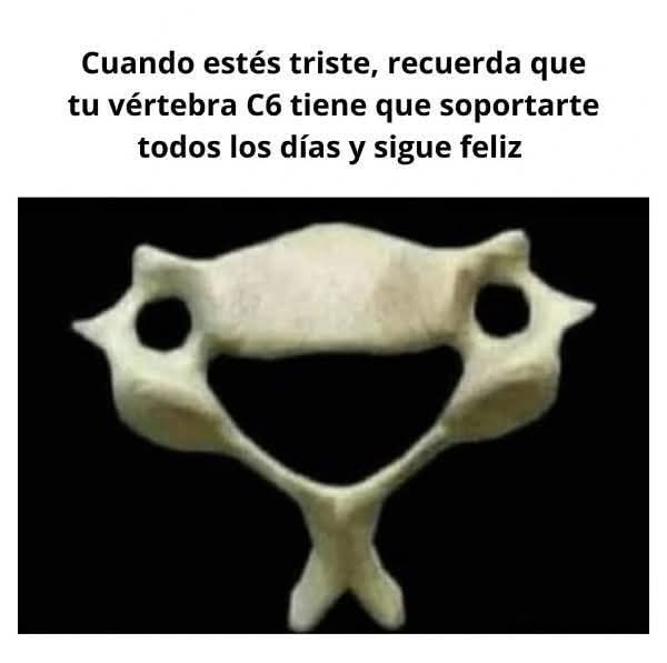 Enséñame de Ciencia (@ensedeciencia) on Twitter photo 