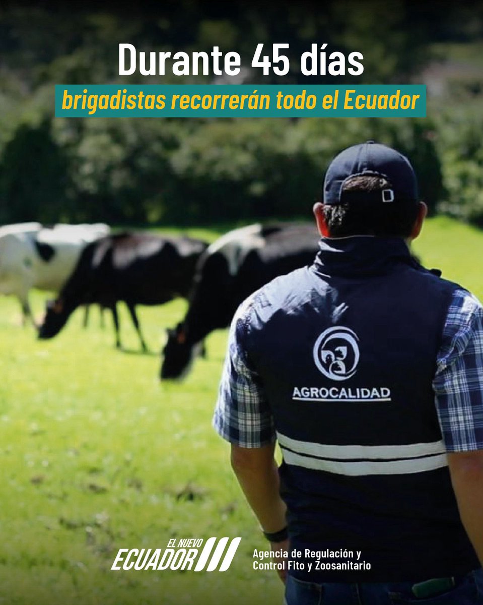 📆 La campaña de
vacunación contra fiebre
aftosa 2025 durará 45 días,
no olvides vacunar a tu
ganado.

✈ Esta acción es vital para
potenciar la producción
pecuaria y fortalecer la
apertura de mercados.

#EcuadorLibreDeFiebreAftosa