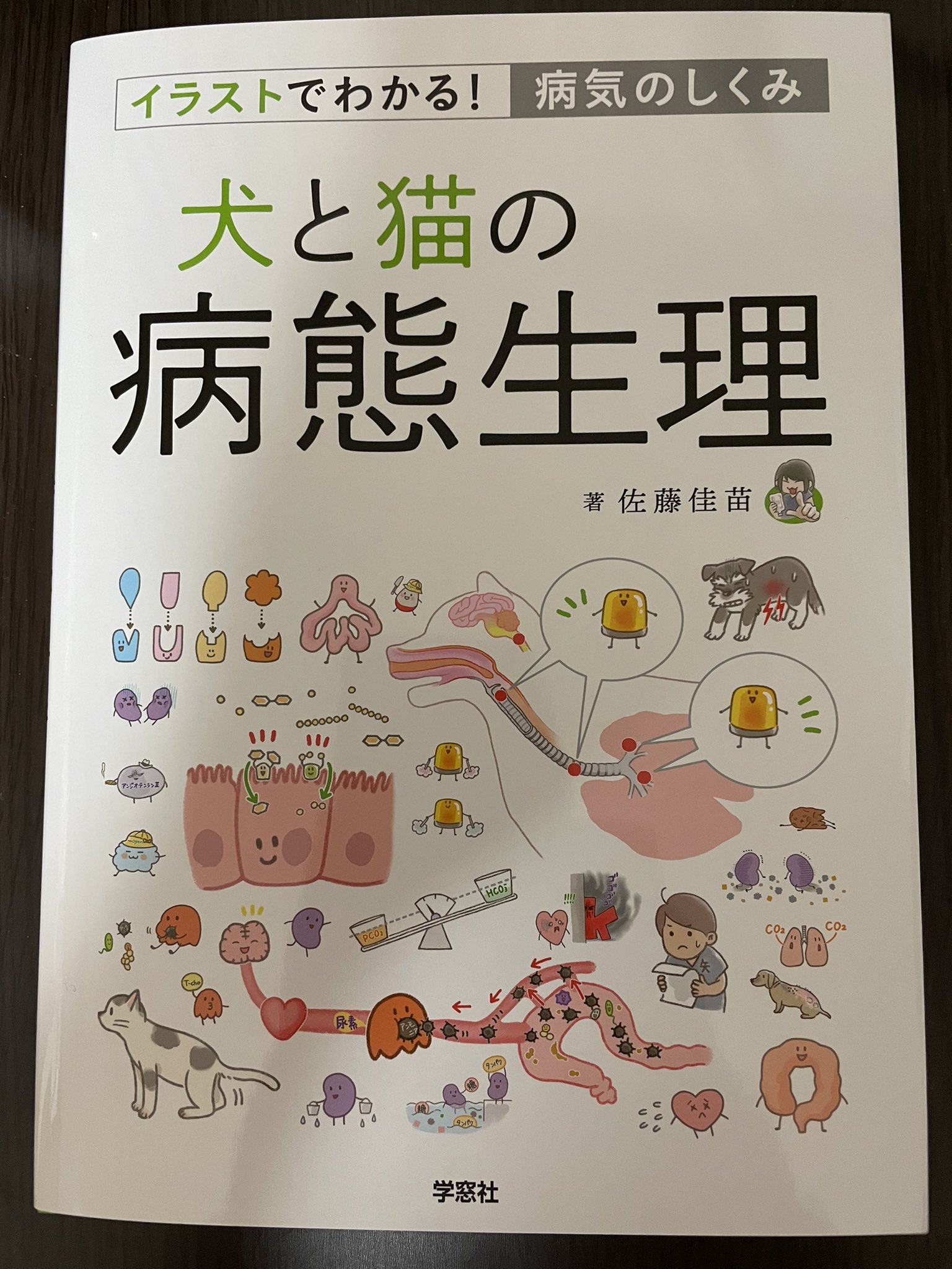 【裁断済】犬と猫の病態生理 犬と猫の病態生理 イラストでわかる！病気のしくみ