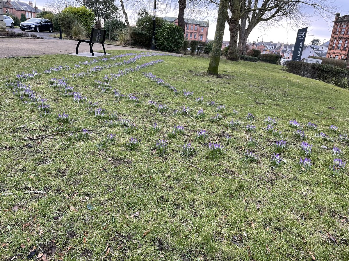 Carolyn Hope (Carrie) (@carolynrae01) on Twitter photo Thanks to <a href="/EastAyrshire/">East Ayrshire</a> for swift clear up of burnt bins at viaduct Kay Park. Three bags filled today, 1 waiting at Burns Monument and 2 at Dick Institute - EAC. Nice day to be out & about, snowdrops, crocuses & daffodils appearing. Thanks to <a href="/EastAyrshire/">East Ayrshire</a> for swift clear up of burnt bins at viaduct Kay Park. Three bags filled today, 1 waiting at Burns Monument and 2 at Dick Institute - EAC. Nice day to be out & about, snowdrops, crocuses & daffodils appearing.