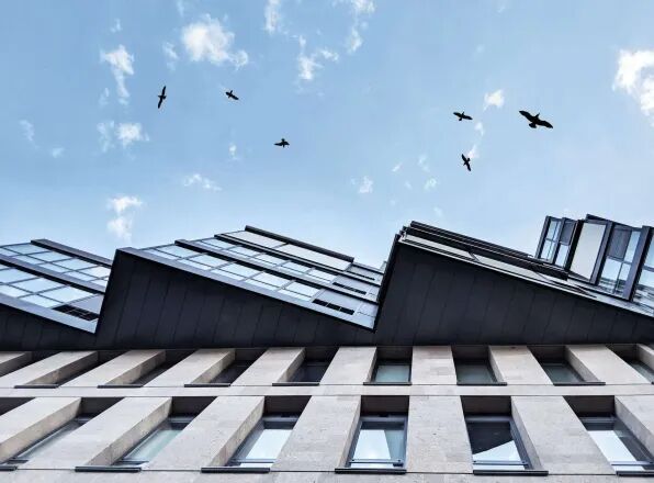 WindowFilmPros's tweet image. Did you know between 365-988 million birds die each year from window collisions in the U.S.? 🐦💔

Check it out and learn how simple changes to your windows can protect our feathered friends.

Read more: bit.ly/4hYgPa6

#BirdConservation #WindowCollisions #BirdProtection