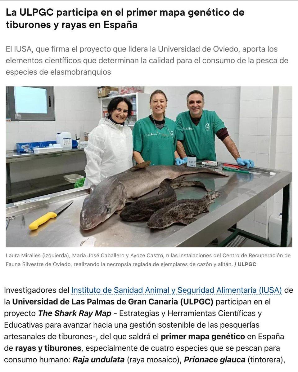 Migdalia Machín Tavío (@migdaliamachin) on Twitter photo En el Parlamento destaqué que el valor de nuestras universidades está en su capacidad para formar talento 🎓 que aporta conocimiento y soluciones.
Aquí ejemplos de ello 👇 #TalentoCanario 🇮🇨 <a href="/PresiCan/">Presidencia GobCan</a>
<a href="/CUCIC_GobCan/">CUCIC GobCan</a>
<a href="/ULPGC/">ULPGC</a>
<a href="/ULL/">Universidad de La Laguna</a>
<a href="/cirogutierrez/">Ciro Gutierrez</a> En el Parlamento destaqué que el valor de nuestras universidades está en su capacidad para formar talento 🎓 que aporta conocimiento y soluciones.
Aquí ejemplos de ello 👇 #TalentoCanario 🇮🇨 <a href="/PresiCan/">Presidencia GobCan</a>
<a href="/CUCIC_GobCan/">CUCIC GobCan</a>
<a href="/ULPGC/">ULPGC</a>
<a href="/ULL/">Universidad de La Laguna</a>
<a href="/cirogutierrez/">Ciro Gutierrez</a>
