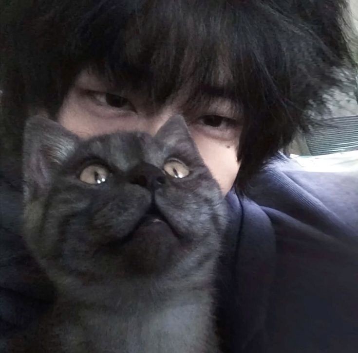 KailixM's tweet photo. Meow https://t.co/6CVjwjvoMs