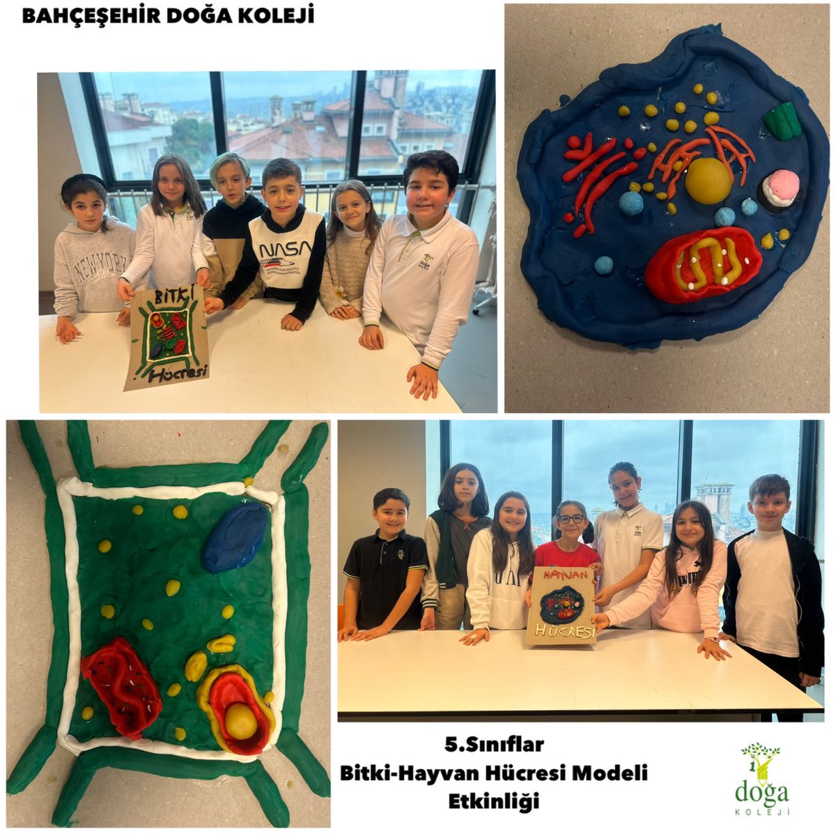 Doğa Koleji Bahçeşehir Kampüsü (@bahcesehr_doga) on Twitter photo 5. sınıf öğrencilerimiz doğa ve mühendislik bilimleri dersimizde oyun hamurlarından bitki-hayvan hücresi modellemelerini büyük bir emek ve heyecanla gerçekleştirdiler. 🧫🤩
<a href="/DogaOkullari/">Doğa Koleji</a> <a href="/suleymancalis33/">Süleyman Çalış</a> <a href="/enversahin82/">Enver Şahin</a>
<a href="/mftufekci/">Mehmet Fatih Tüfekçi</a> <a href="/sdtncl/">Seda Tuncal</a> <a href="/sulecimen76/">Şule Çimen</a> <a href="/bdinc39/">Burcu DİNÇ</a> 5. sınıf öğrencilerimiz doğa ve mühendislik bilimleri dersimizde oyun hamurlarından bitki-hayvan hücresi modellemelerini büyük bir emek ve heyecanla gerçekleştirdiler. 🧫🤩
<a href="/DogaOkullari/">Doğa Koleji</a> <a href="/suleymancalis33/">Süleyman Çalış</a> <a href="/enversahin82/">Enver Şahin</a>
<a href="/mftufekci/">Mehmet Fatih Tüfekçi</a> <a href="/sdtncl/">Seda Tuncal</a> <a href="/sulecimen76/">Şule Çimen</a> <a href="/bdinc39/">Burcu DİNÇ</a>