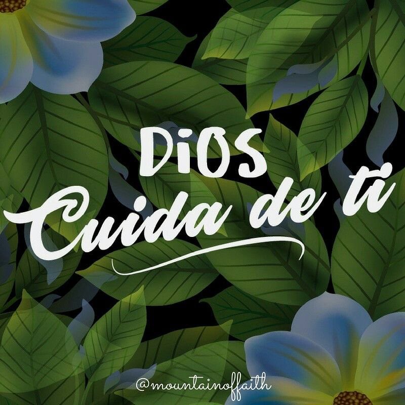 Mirad las aves del cielo, que no siembran, ni siegan, ni recogen en graneros; y vuestro Padre celestial las alimenta. ¿No valéis vosotros mucho más que ellas?

Mateo 6:26