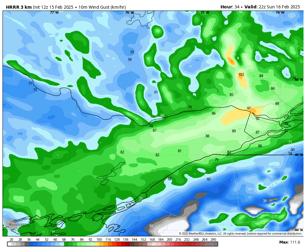 Connor Mockett tweet media