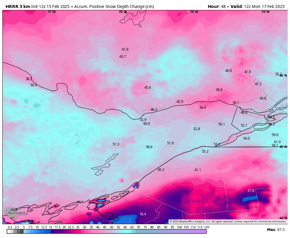 Connor Mockett tweet media