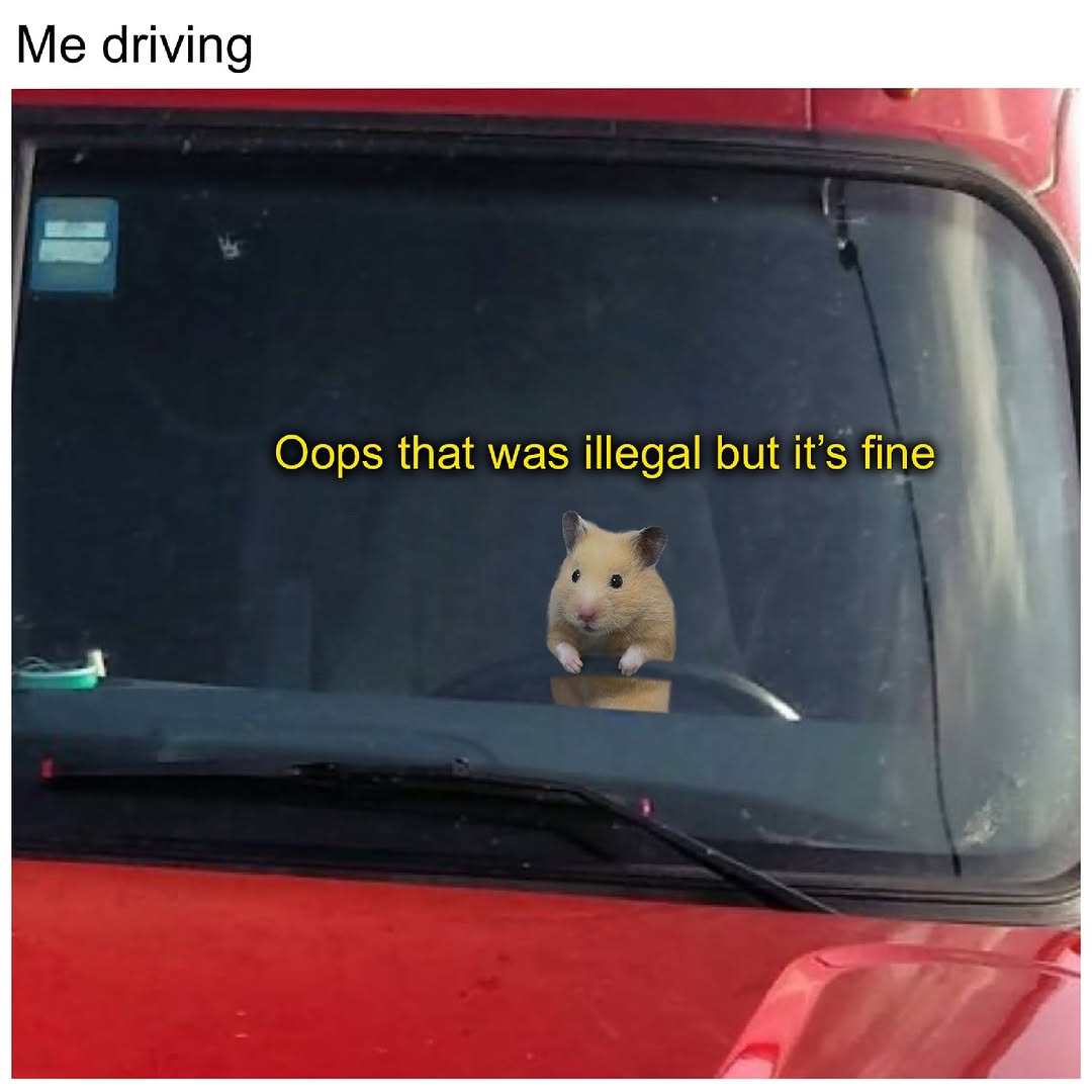 Tweets Of Hamster (@tweetsofhamster) on Twitter photo 