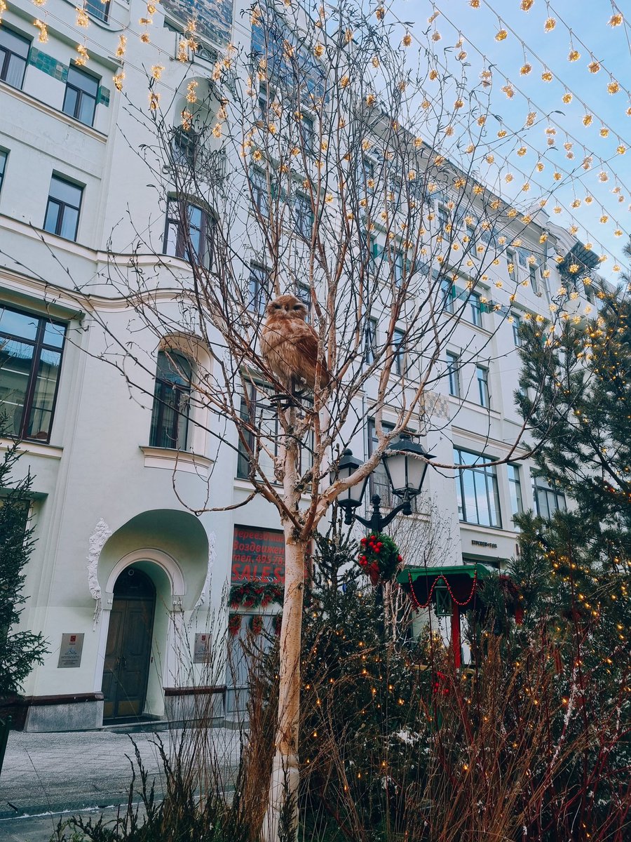 Ну и где обещанный снег 😒