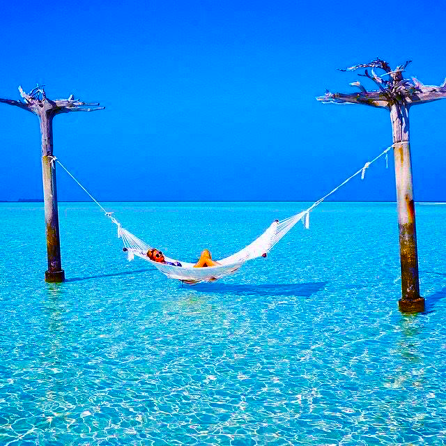 PineKeyTampaBay's tweet image. Imagine owning a piece of paradise just by holding $PINEKEY. 

While others chase hype, you’re securing real-world utility &amp;amp; exclusive island access. The future is already here—are you in?

GHAgf97Y4xsfRX61WoEx3b9mg6iDMQD6AsgnzEKopump

#PINEKEY #CryptoMeetsReality #OwnTheIsland