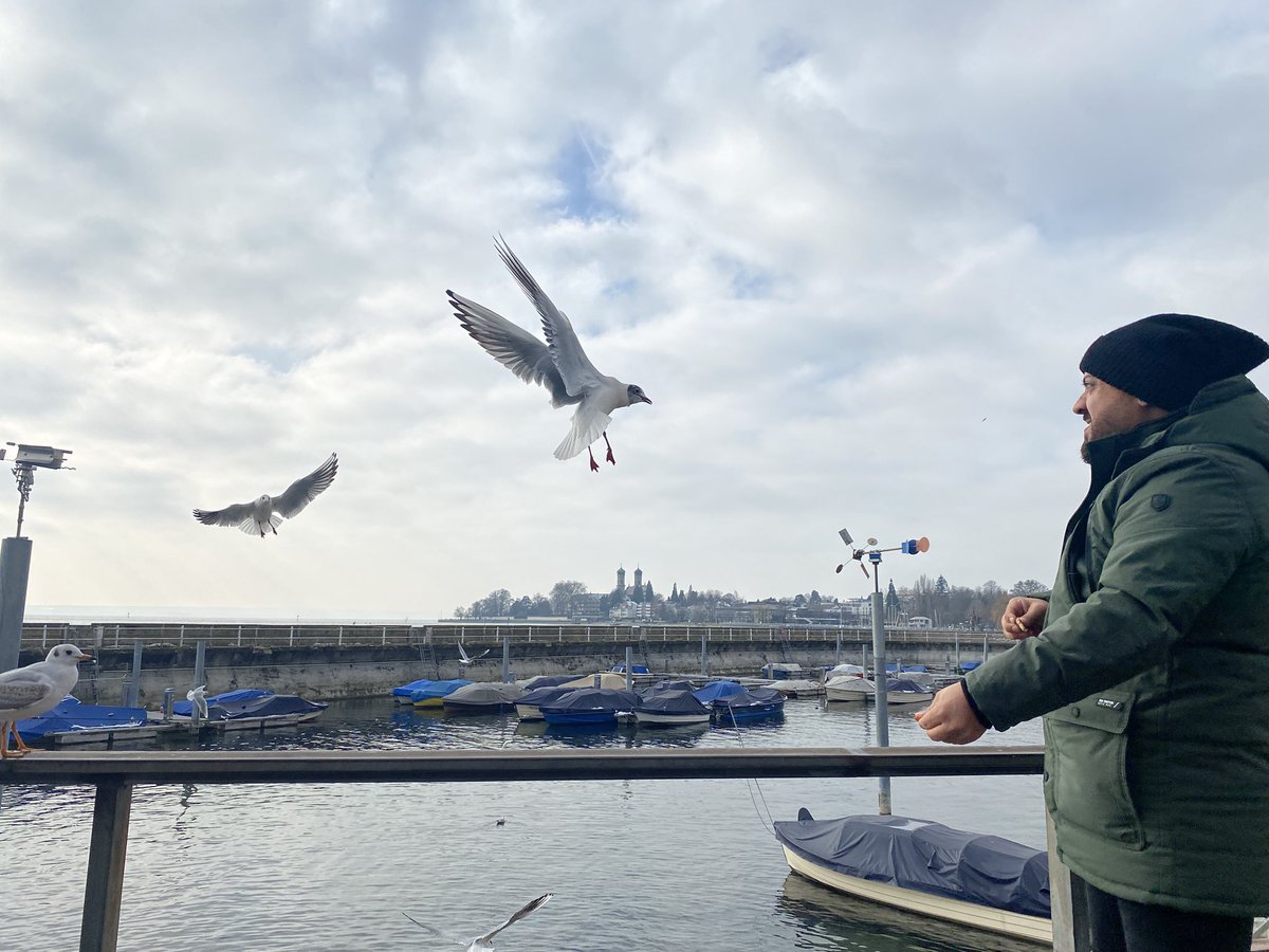 Deniz ve martıları  görünce  içime hüzün çökmedi desem yalan olur…