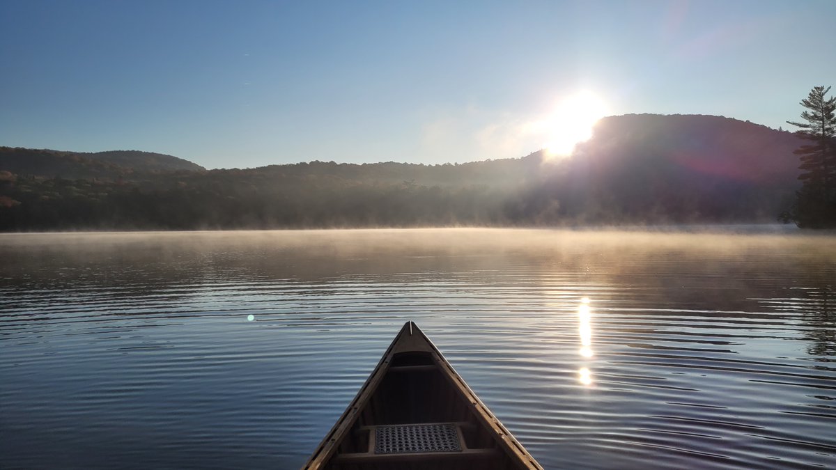 Frédéric Bouchard tweet media