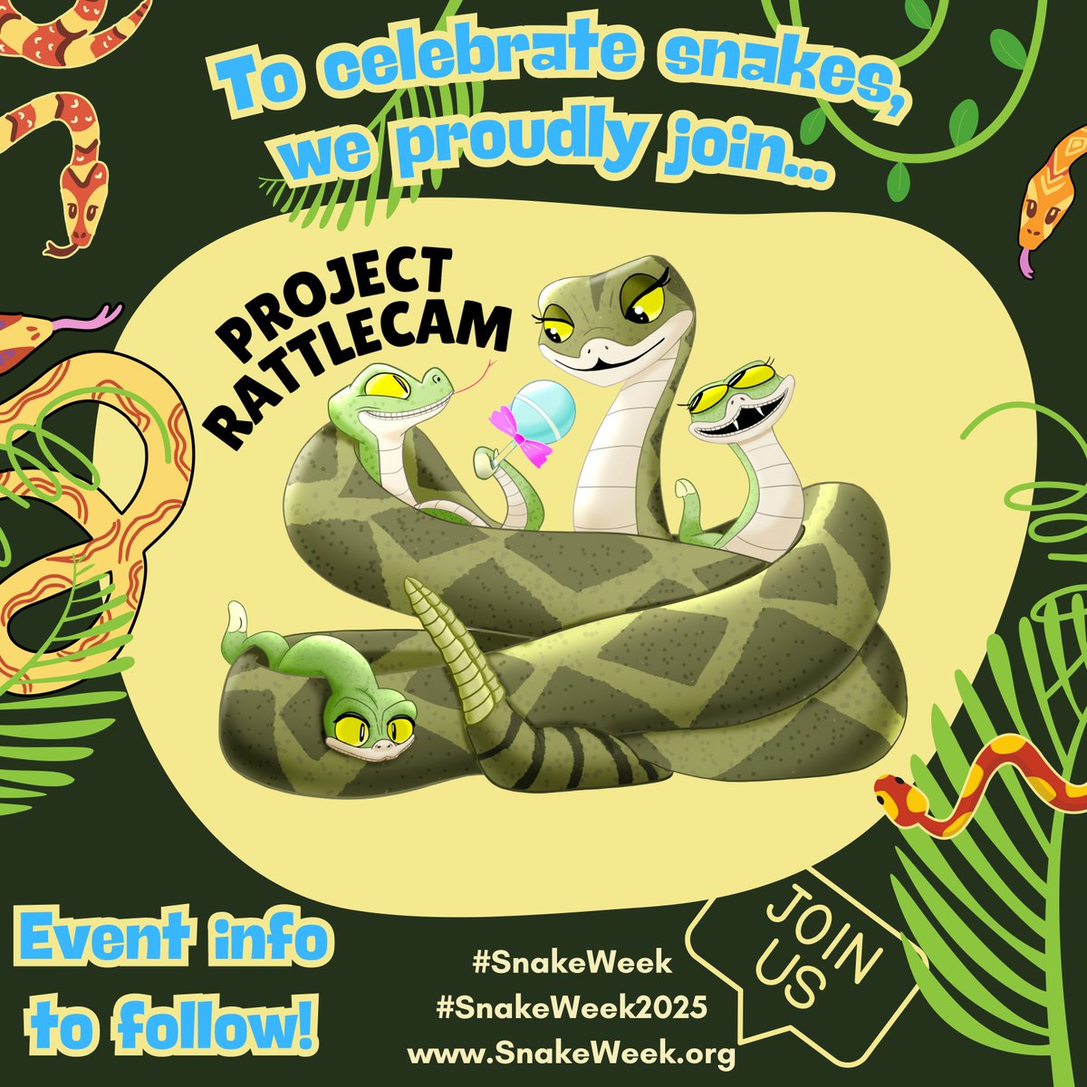 Rattlecams's tweet photo. We are excited to join Snake Week, a coalition of organizations (53 so far, and many more to come) that will hold special events 13-19 July, 2025. To learn more, follow the account, check out https://t.co/H2X4YmE6jt, and join their email list! #snakeweek #snakeweek2025 https://t.co/JMLlMv6GTk