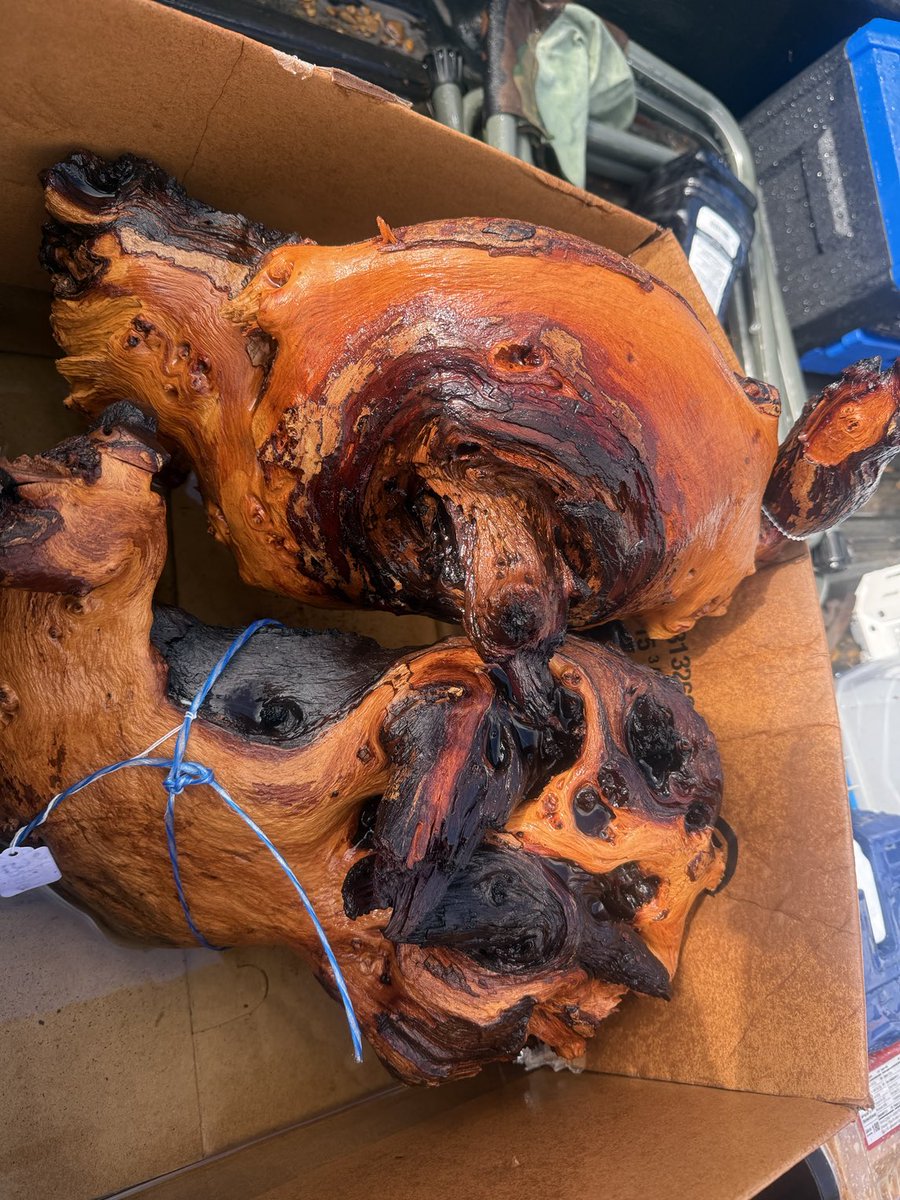 WithinLimits24's tweet photo. New wood for the 75 gallon I am setting up for Goldie. She is so big she needs her space.I am getting 2 10 inch Oscar’s. You have to soak these Or they float like a cork. I soak them outside for a week.  No plants going in this tank.  I have plans for a 500 gallon in my game room https://t.co/ewDfDDULqq