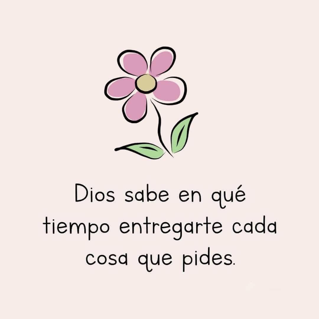 Buen día 🐝 ✨ 🍀 🐞 🧚‍♀️