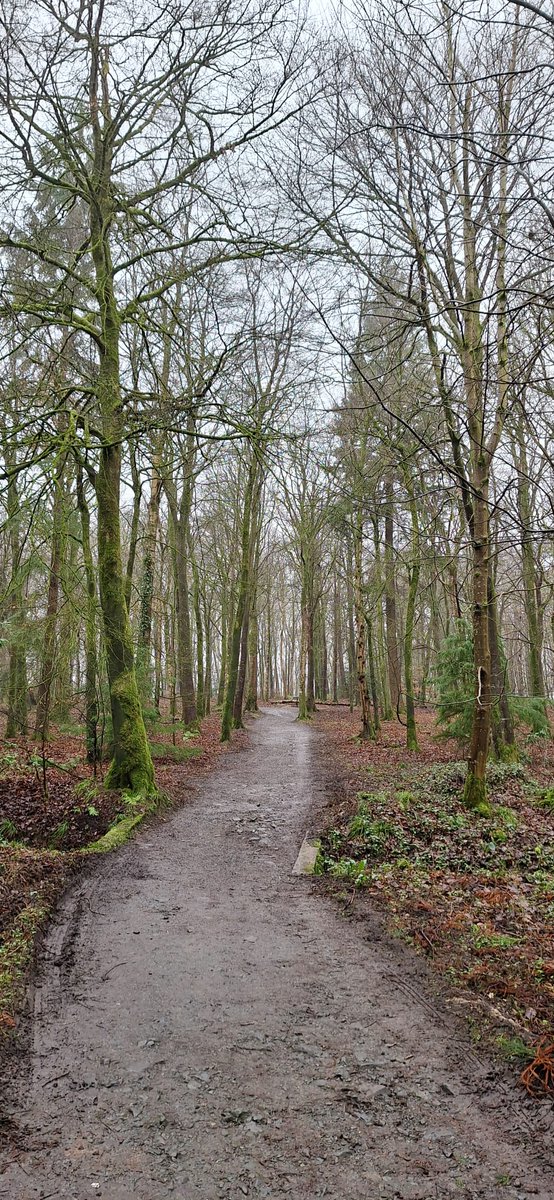 Declan McAllister (@declanmcall) on Twitter photo A great morning back in #GosfordForest Thank you to <a href="/abcb_council/">ABC Council</a> for managing the clear up after the storm. Nothing like a bit of #healthandwellbeing on a Saturday morning with #RossTrailRunners. <a href="/NI_SCC/">Northern Ireland Social Care Council</a> <a href="/healthdpt/">Department of Health</a> A great morning back in #GosfordForest Thank you to <a href="/abcb_council/">ABC Council</a> for managing the clear up after the storm. Nothing like a bit of #healthandwellbeing on a Saturday morning with #RossTrailRunners. <a href="/NI_SCC/">Northern Ireland Social Care Council</a> <a href="/healthdpt/">Department of Health</a>