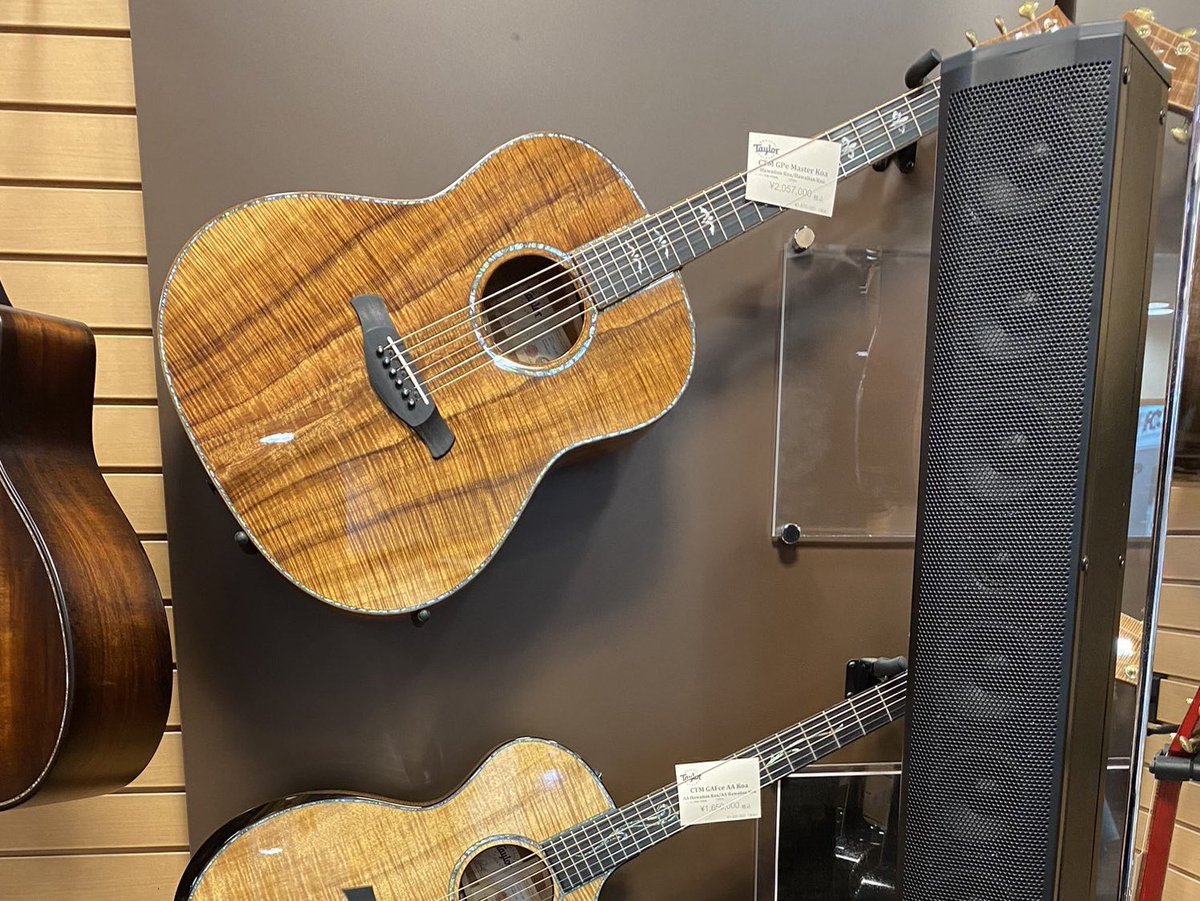 今日のBank Band、Mr.Childrenでも桜井さんが弾いてた世界で1本の特注