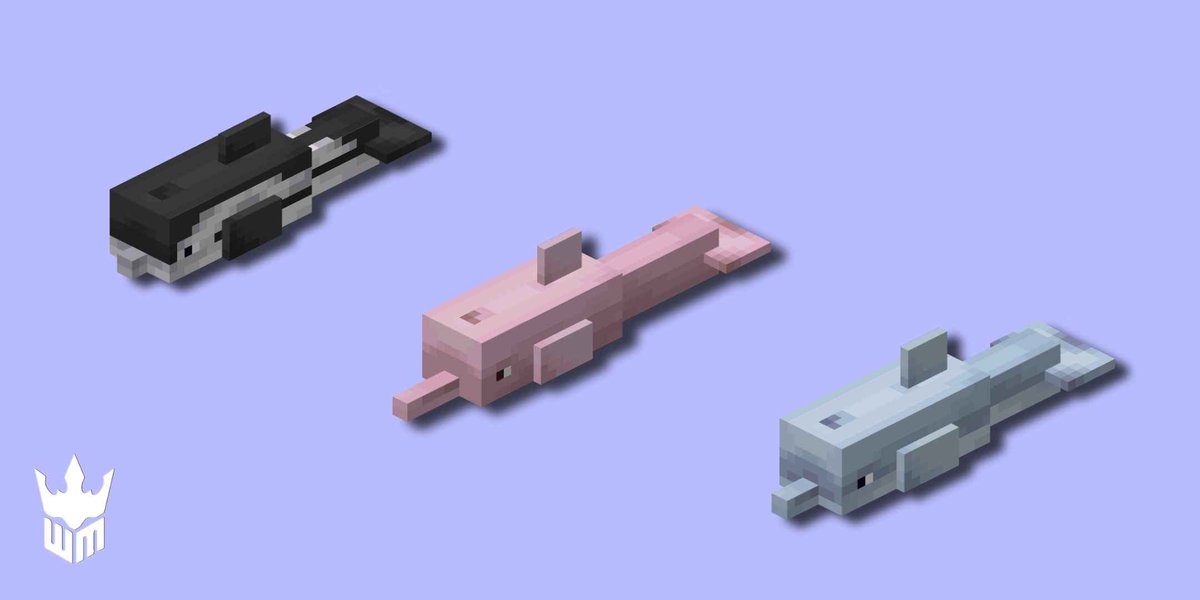 _WanMine's tweet photo. Special post today:

🐬 Dolphin variants for you!

#Minecraft #Blockbench #pixelart #minecraftart #MinecraftCreator https://t.co/u6DQKIU9tO