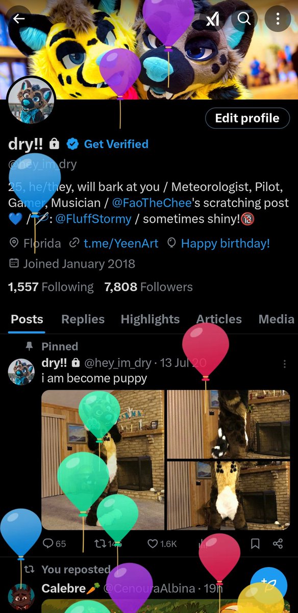 dry!! tweet media