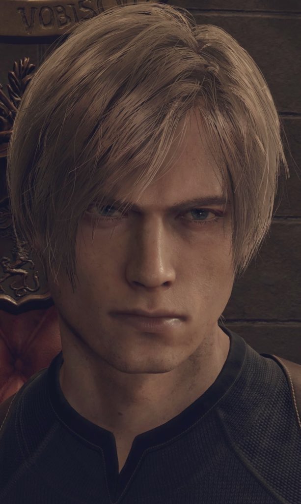 ┌────── ⋆⋅☆⋅⋆ ──────┐
re2r Leon                                     re4r Leon