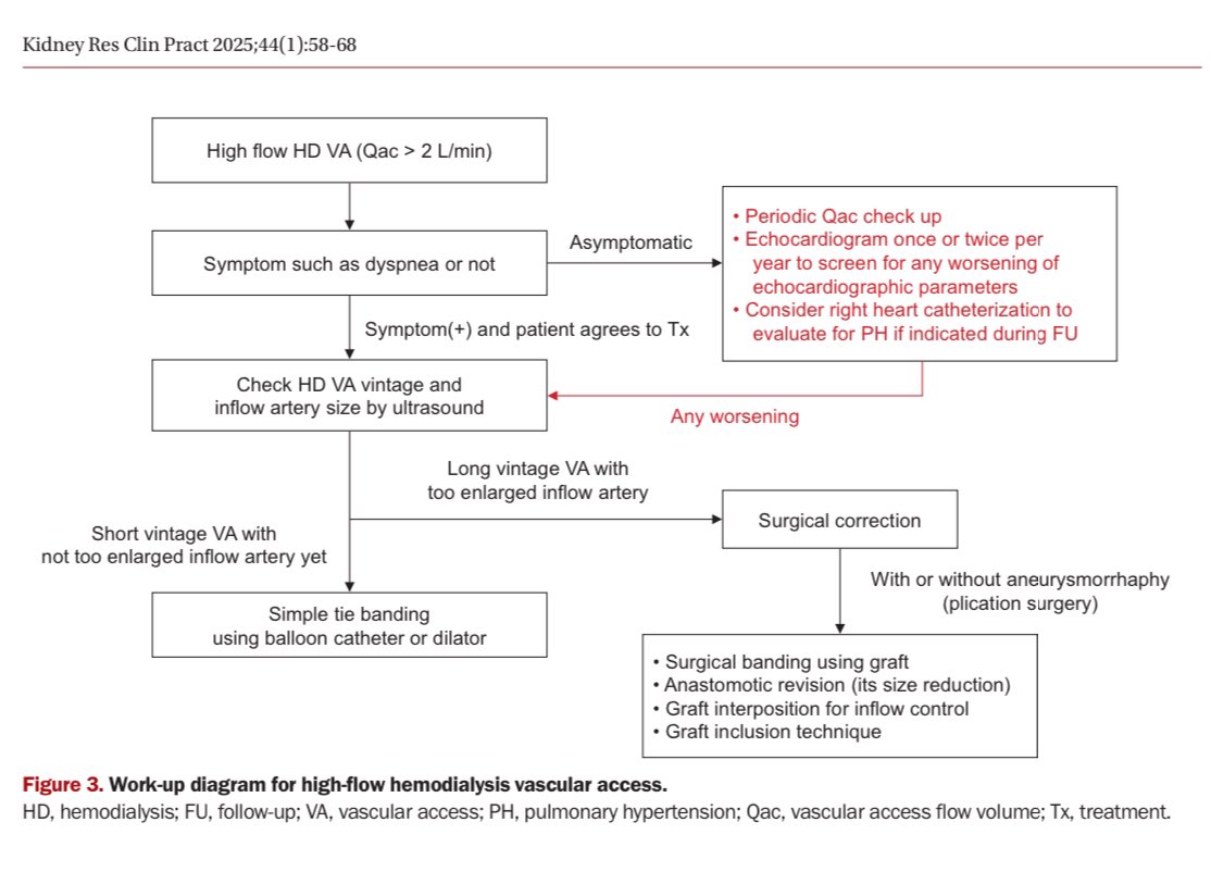 hardik4u24's tweet image. 🌟Managing High-Flow AV Access in #HD

🌊High-flow AV access (Qac &amp;gt;2L/min) can overload heart, causing high-output cardiac failure

🔑Early detection &amp;amp; flow reduction (banding, grafts) are key
🔑Monitor Qac &amp;amp; echo regularly

🆓doi.org/10.23876/j.krc…

#VascularAccess #NephX #MedX