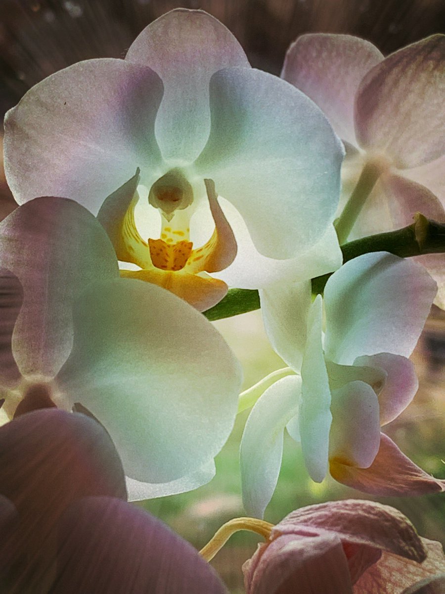 leartoflife's tweet photo. #leartoflife #photoartworks https://t.co/8zOrcytQIa